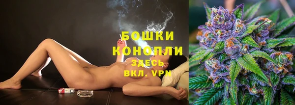дживик Верея