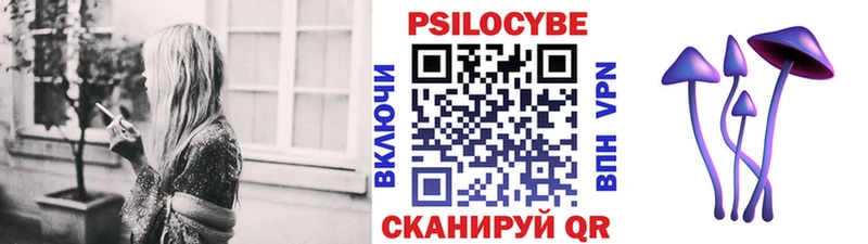хочу наркоту  Киржач  Галлюциногенные грибы ЛСД 